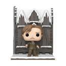 156 Remus Lupin with the Shrieking Shack